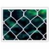 Chain Link Fence